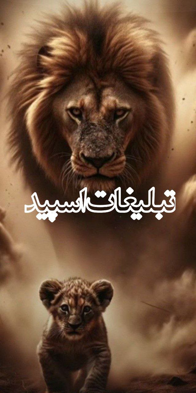 🩵ܥ‌‌❟ܝ‌ܣܩܨ ܥ‌‌❟ࡄࡅߺ߳ߊ‌‌ࡍ߭ 🩵 (3)