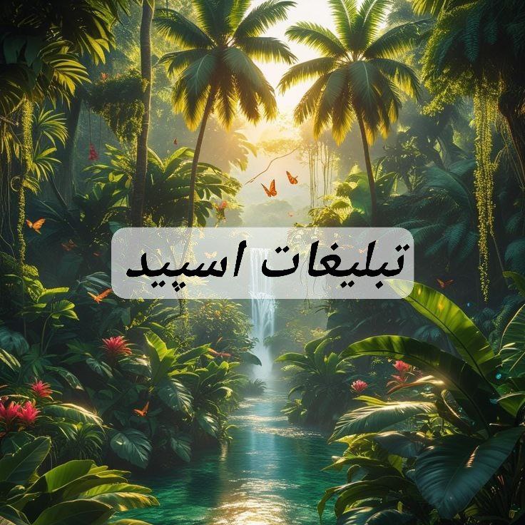 گروه تلگرام چت دوستانه