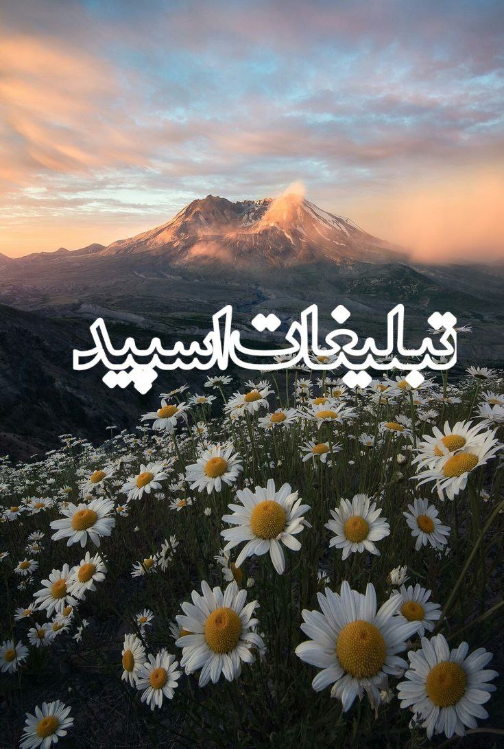 کلبه زندگی