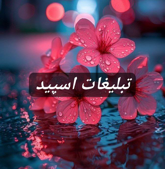 گپ تلگرام𝐅𝐀𝐑𝐀𝐑𝐈 𝐁𝐀𝐗 