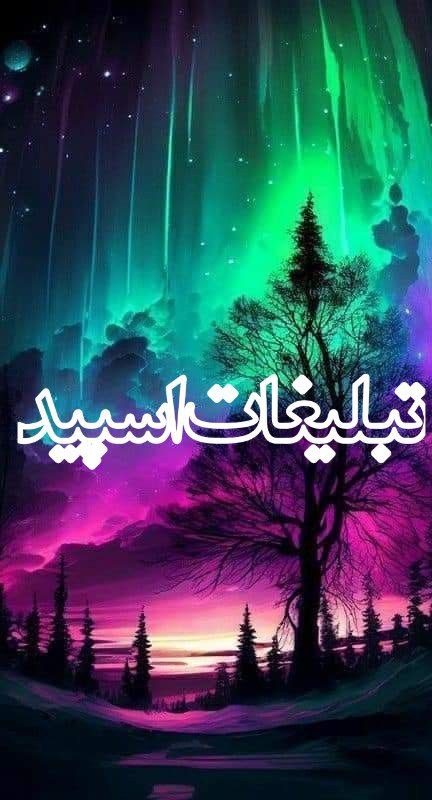 وایلد ولف (219)