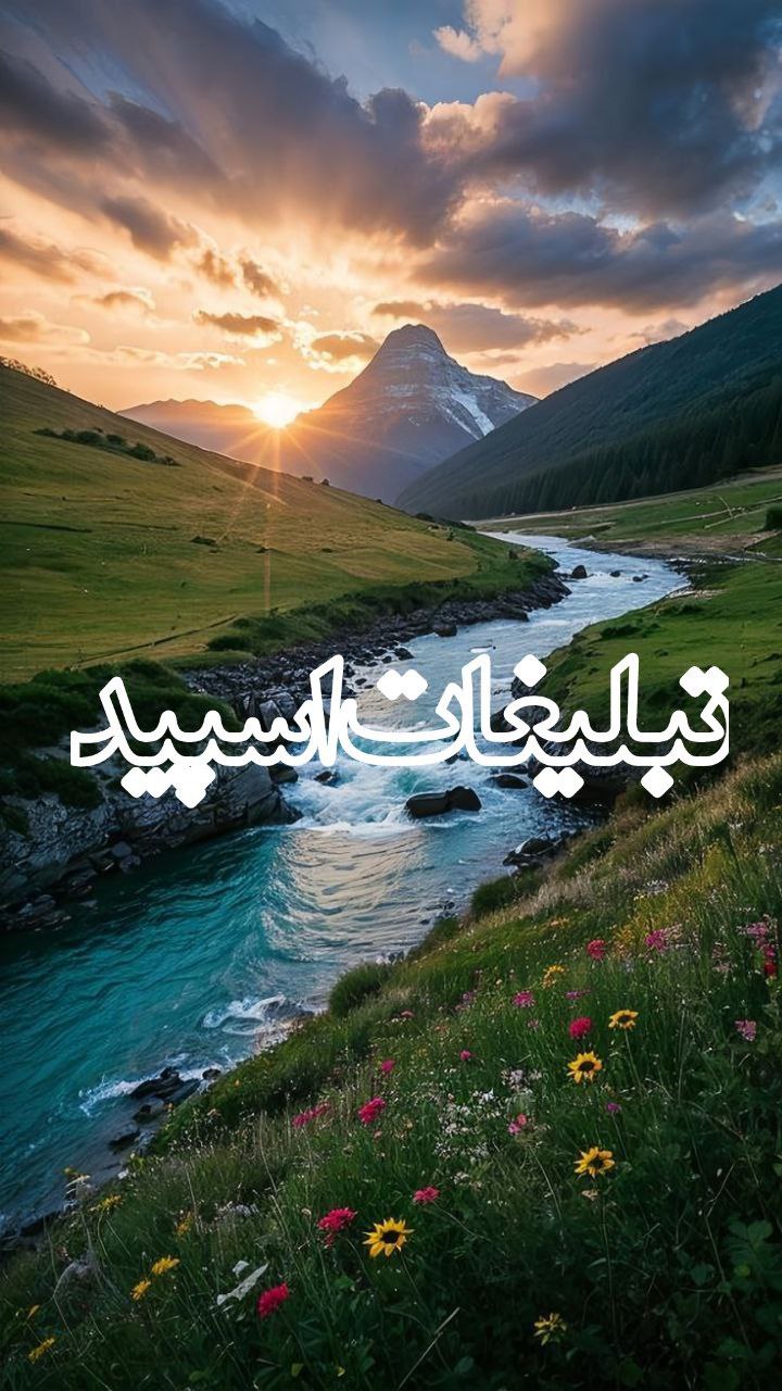 وایلد ولف (131)
