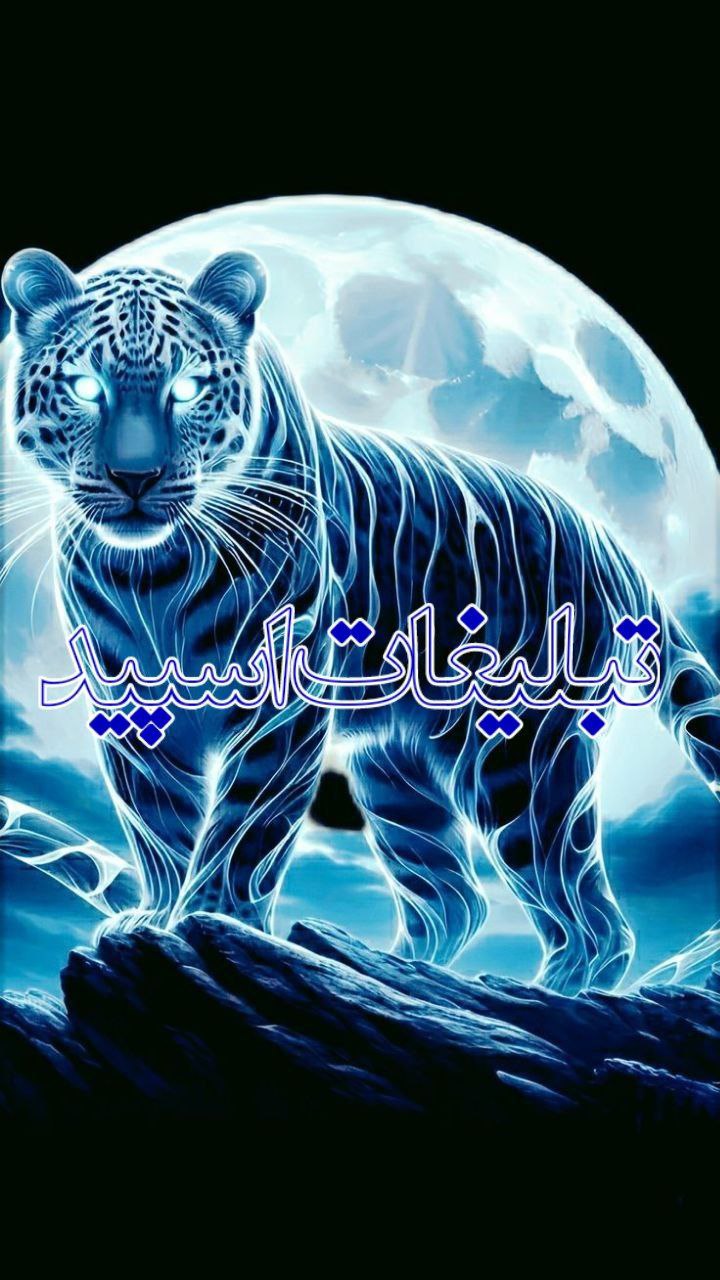 وایلد ولف (96)