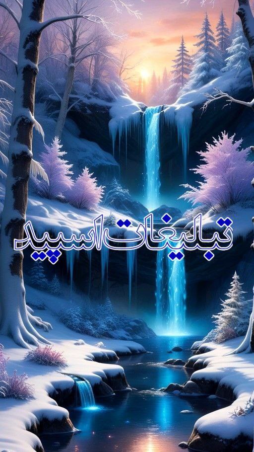 ❤️ نبض عشق ❤️