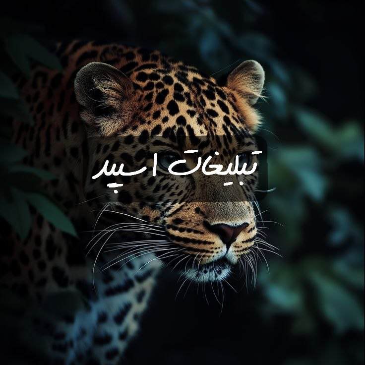 گپ تلگرام مورفین