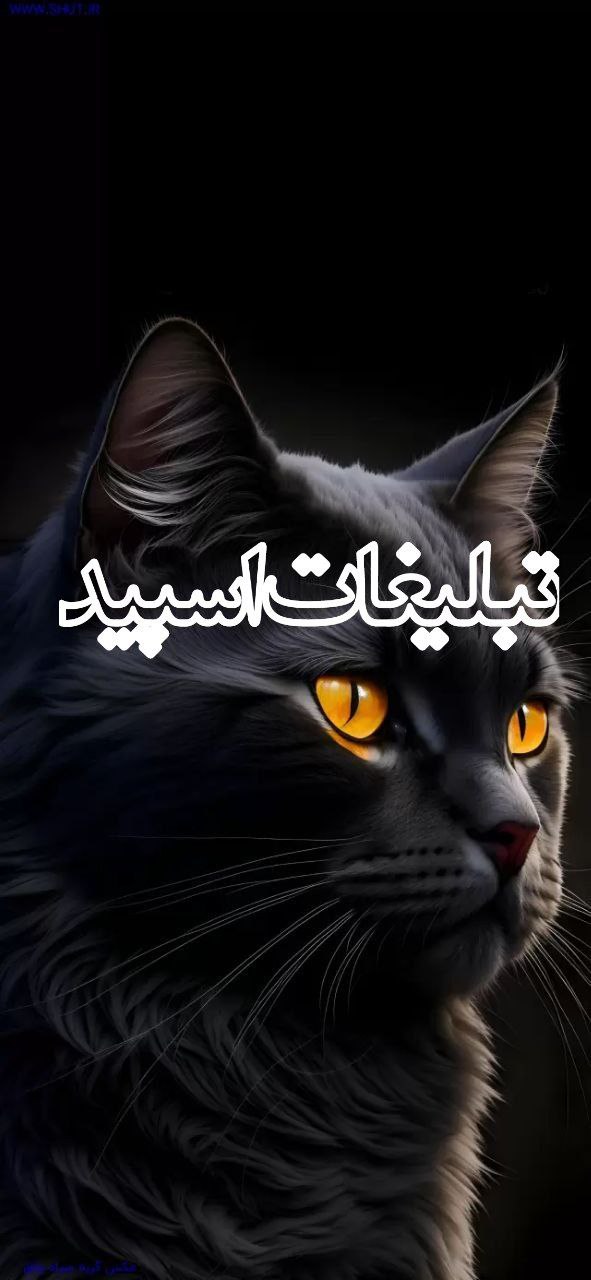 دوستان بامعرفت (9)