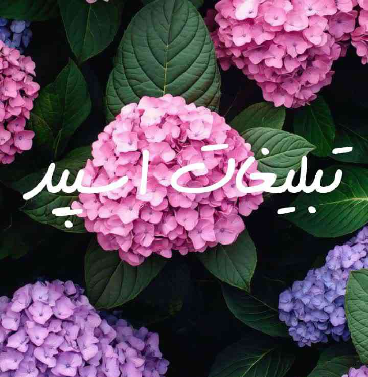 تبلیغات