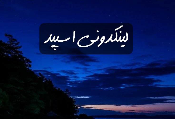 کمپ بهترین دوستان 