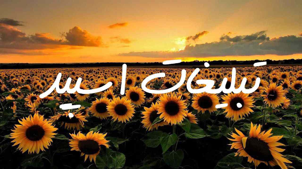 کانال روبیکا ویسکال فعال بلک اند وایت 