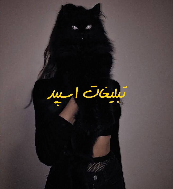 گروه تلگرام مهربونای مجازی کاشان