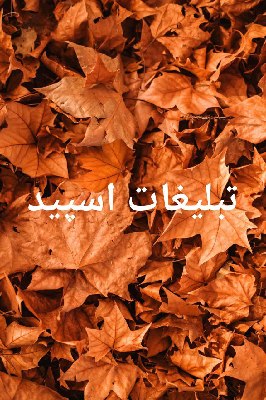 گپ تلگرام دورهمی رفقای ابدی