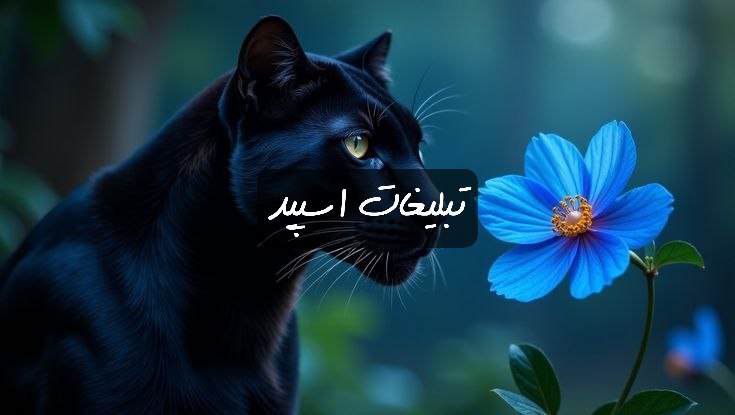 گپ تلگرام کلبه چت