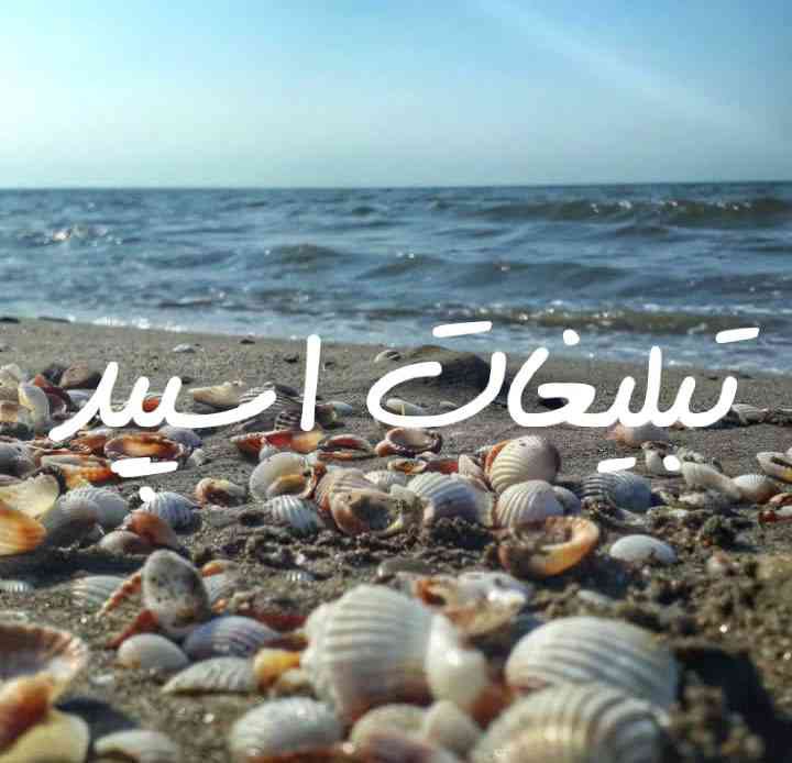 تبلیغات