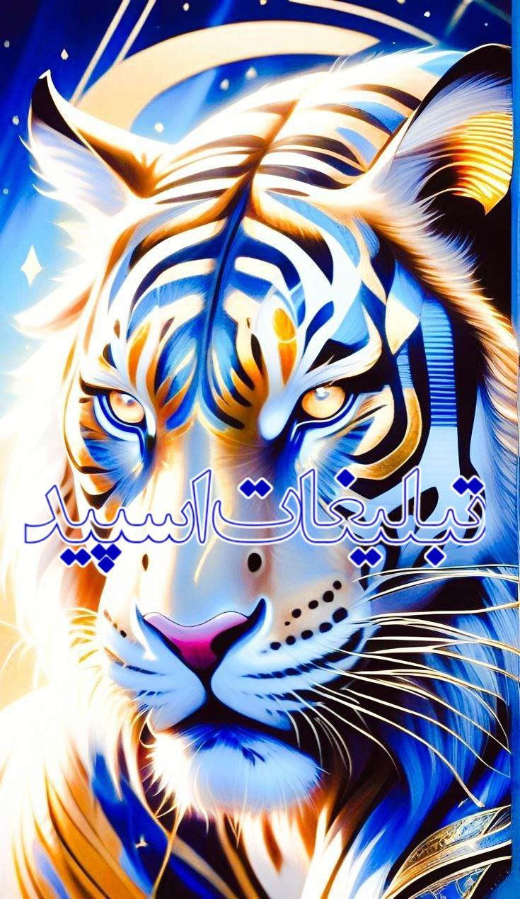 🟢عکاسی و فیلمبرداری