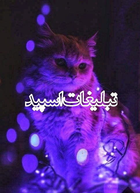 متینگ تهران کرج (2)