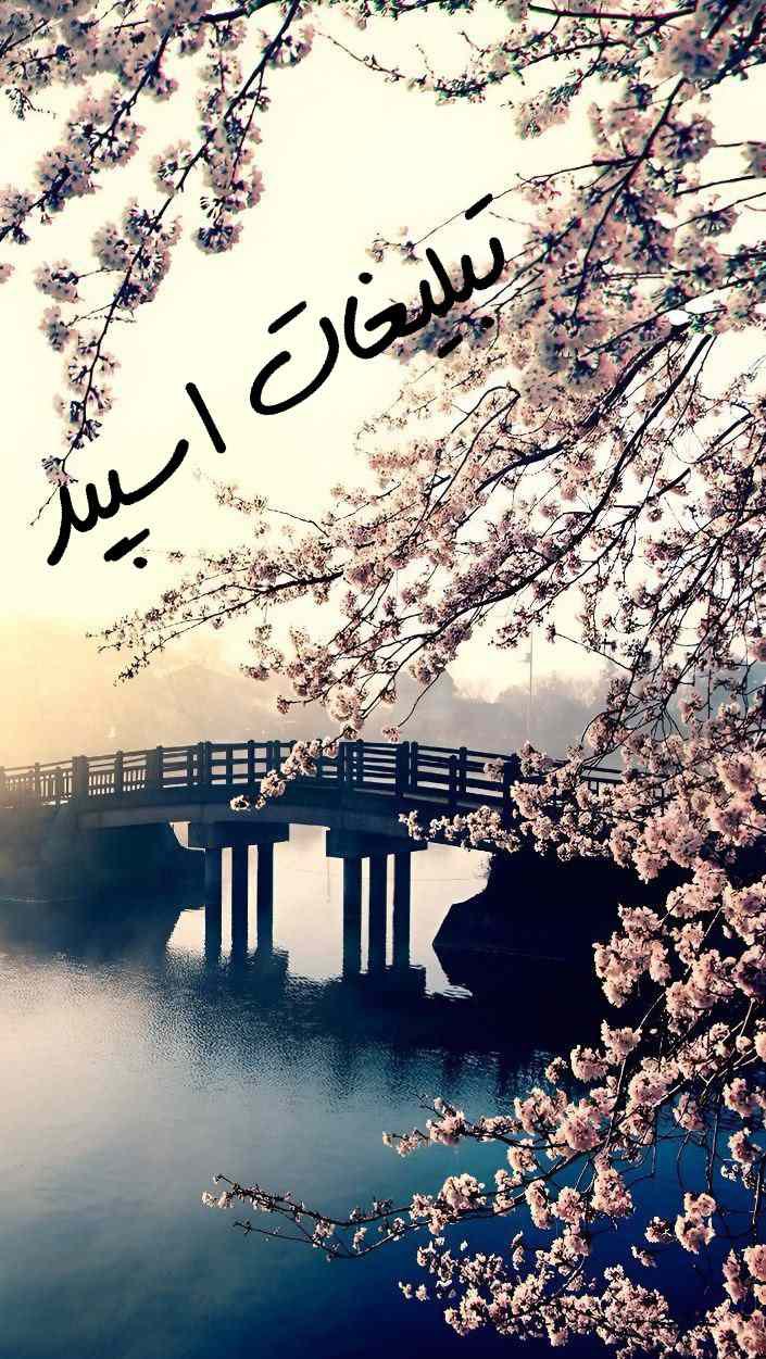 کانال یوتیوب بینوشا بررسی لب تاب
