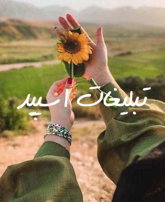گروه چت سروش زابل و زاهدان