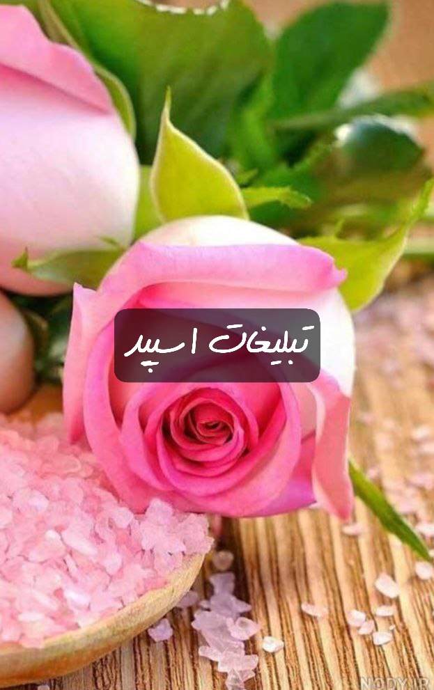 گروه تلگرام کلبه اخلاقیات