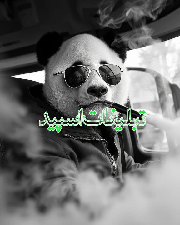 چتکده (6)