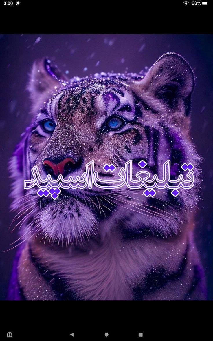 💞⃟⃤ ࿆ ♢ 𝙆𝙃𝘼𝙎 ♢ ༗࿆:💞⃟⃤ (3)