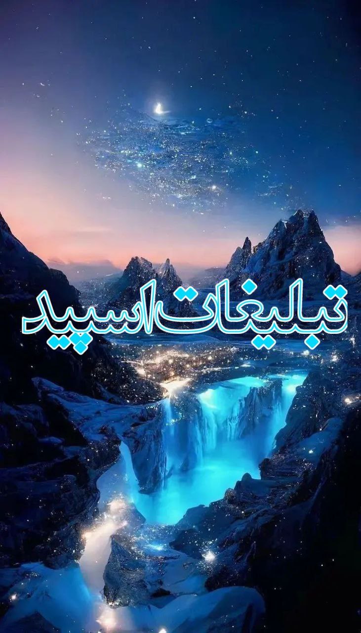 ولف سیتی (18)