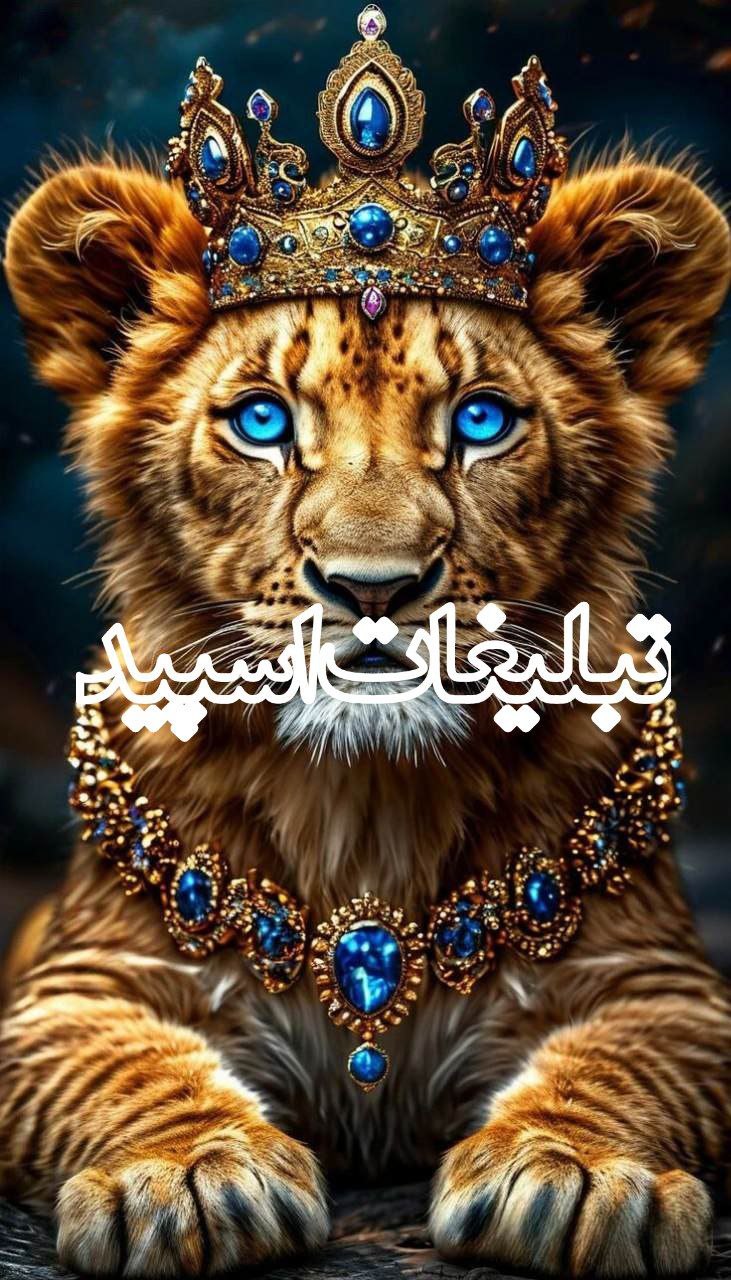 دعوت به همکاری (21)