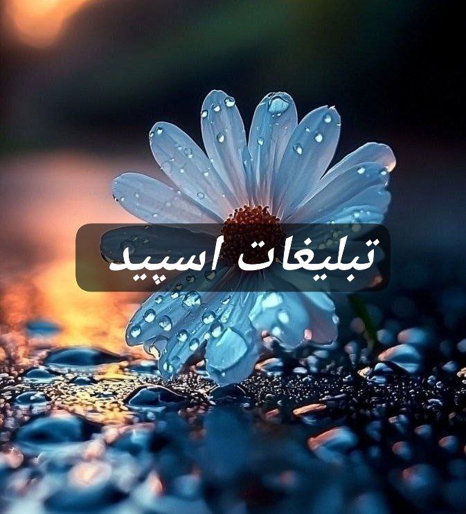 گروه تلگرام دانیلند