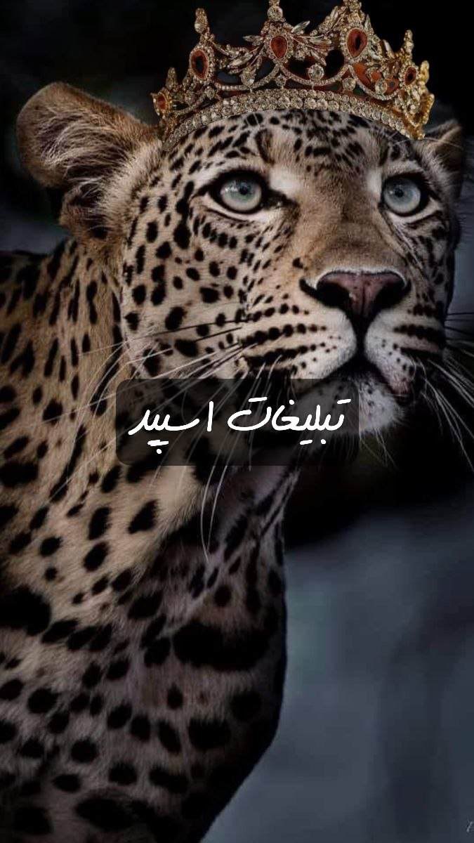 گپ تلگرام کافه دلها