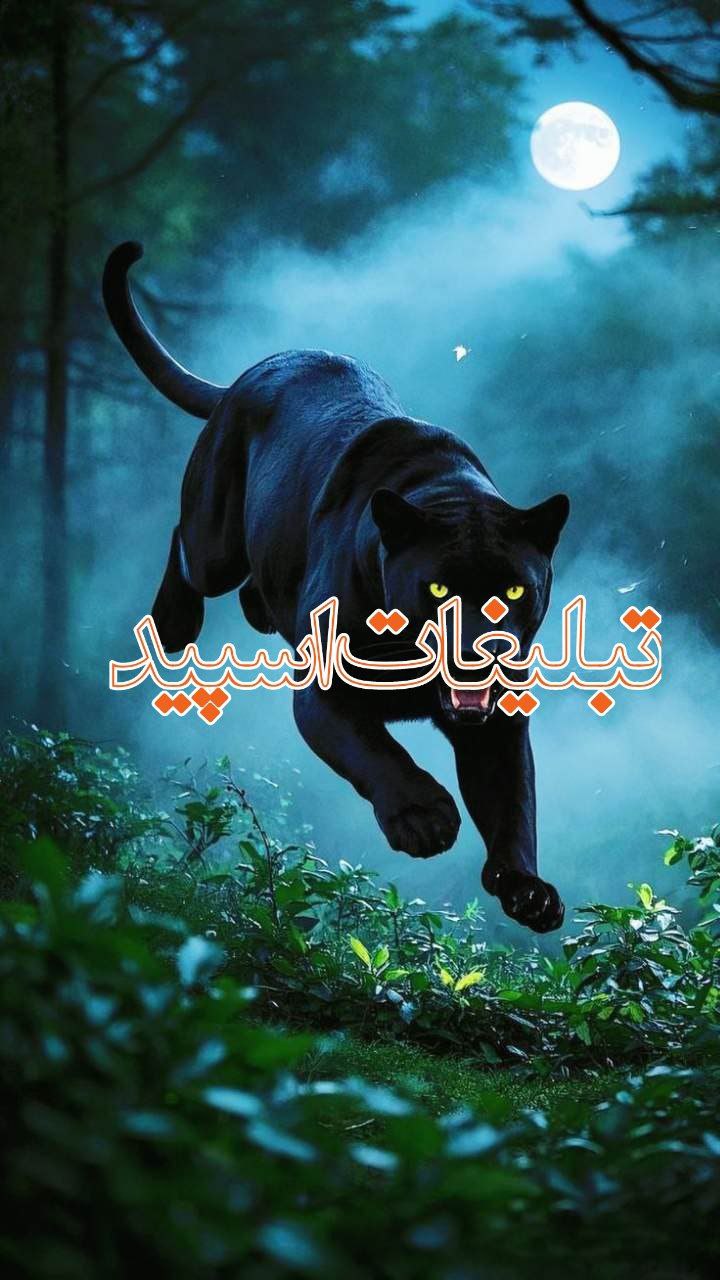 گروه خودمونی (3)