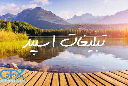 گروه چت تلگرام تودلیا