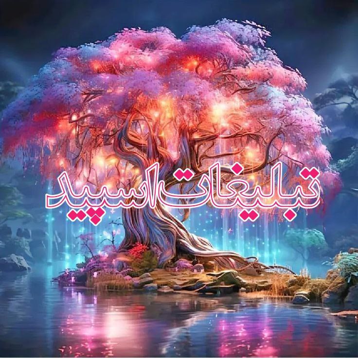 وایلد ولف|WILD WOLF (82)