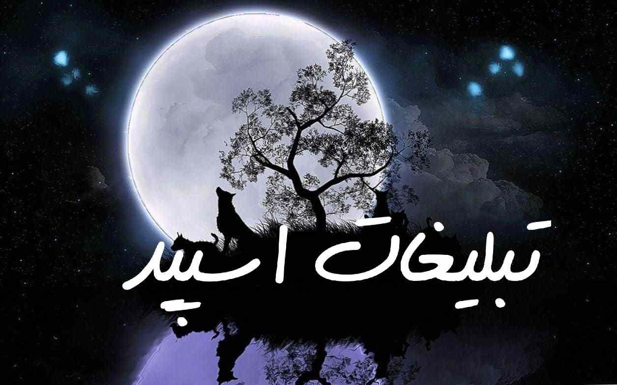 پیج اینستاگرام کلیپ های ماشین سیلور ادیتور