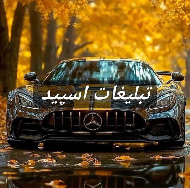 گروه تلگرام رویایی گمشده 