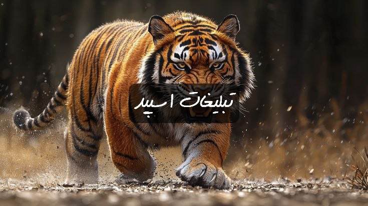 گپ تلگرام مشهدیا