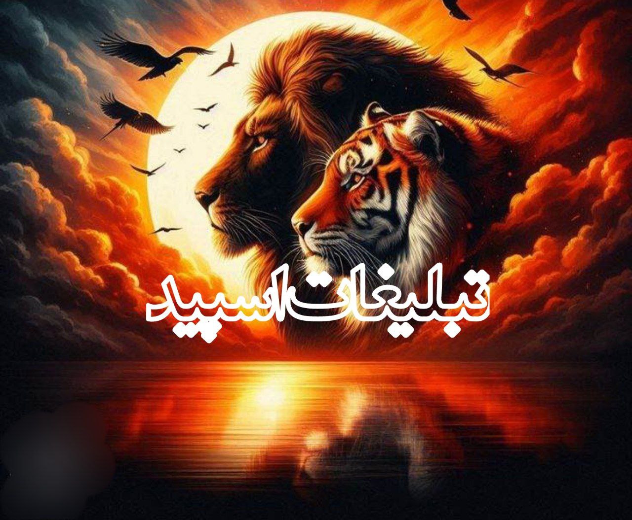 ولف سیتی😈