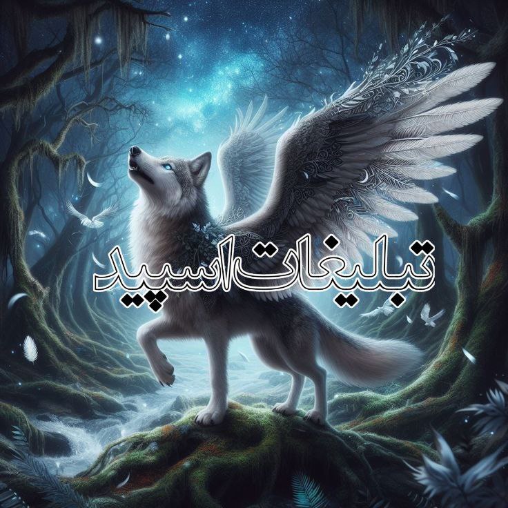 دورهمی دوستان (41)