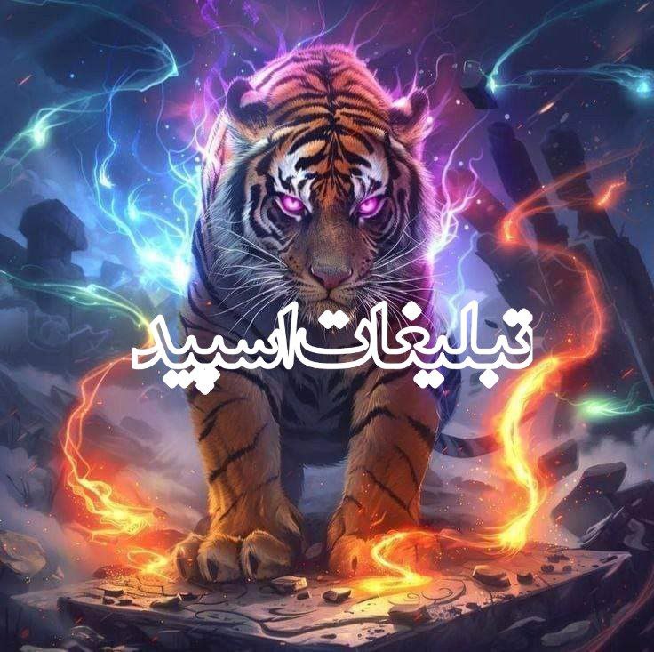 وایلد ولف|WILD WOLF (105)