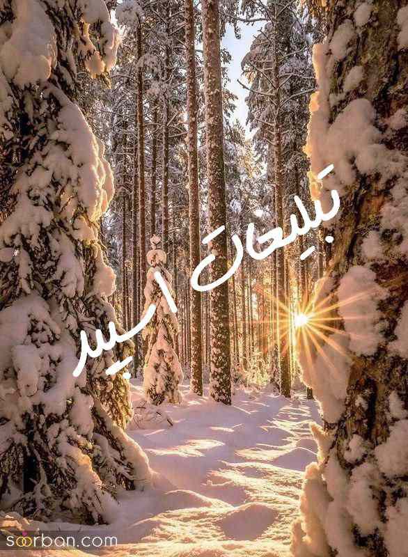 کانال روبیکای آدیداس استوری