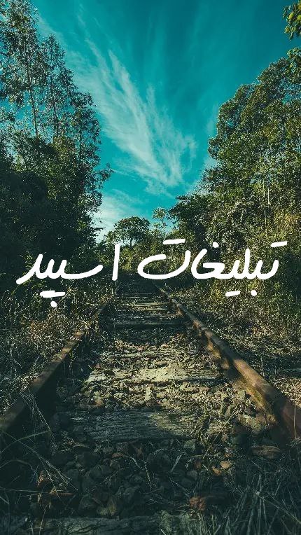 گزوه چت تلگزام عشق و صداقت