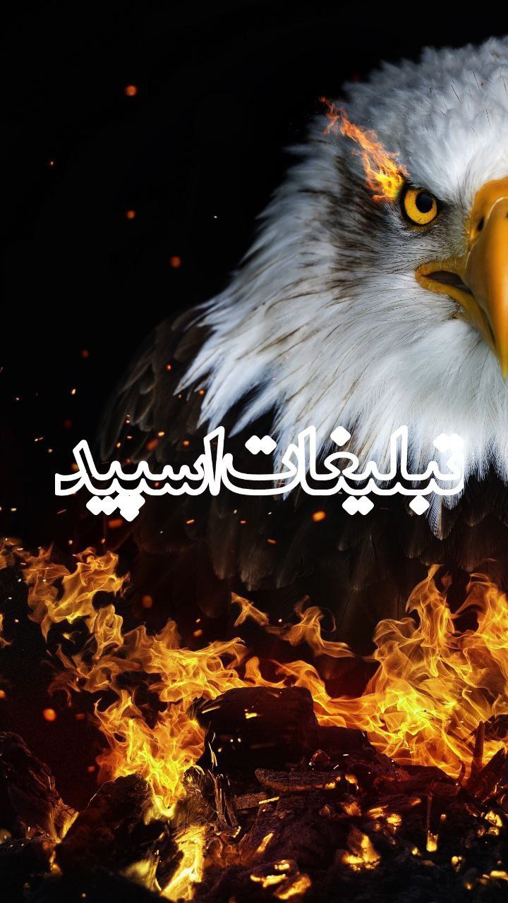 دوستان بامعرفت (5)