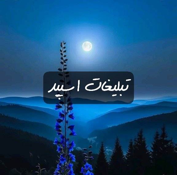گروه تلگرام شب نشینی با پلنگا