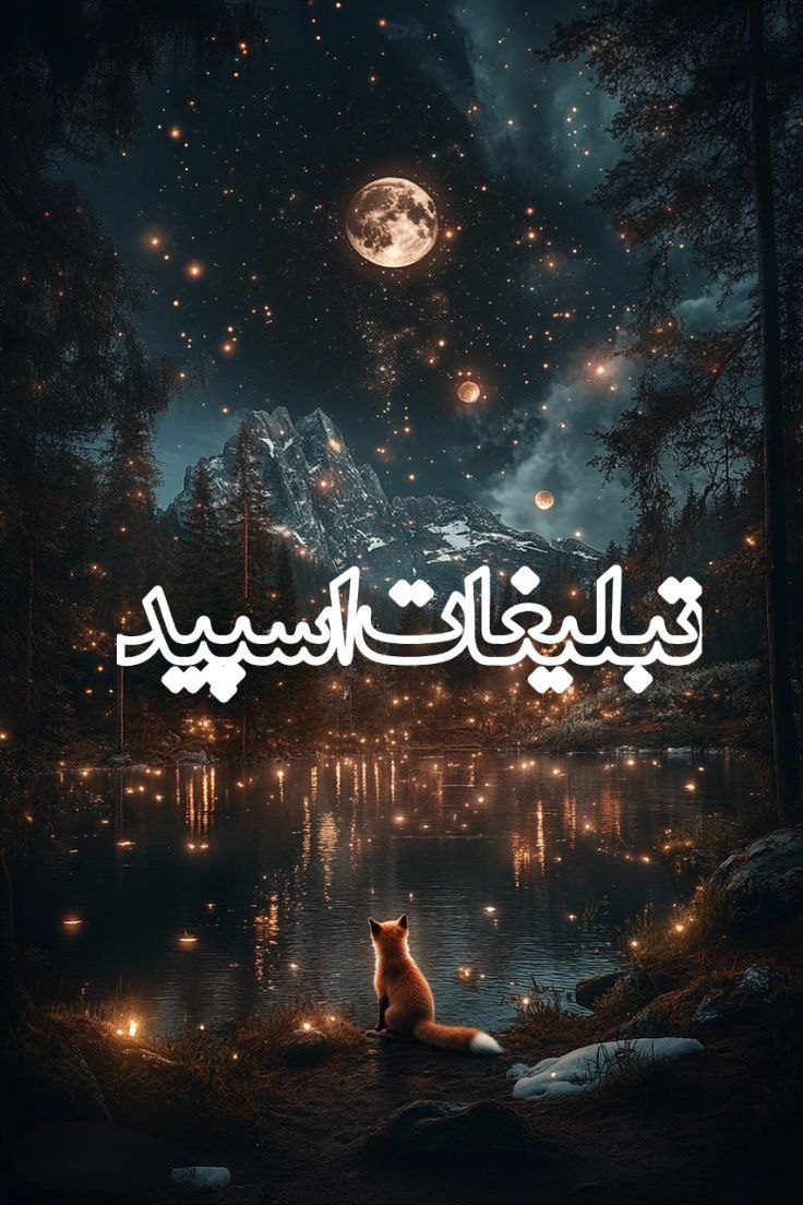 کافه شب‌های عاشقی (16)
