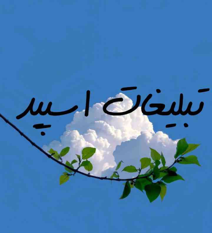 گروه چت تلگرام بچه های شمالی