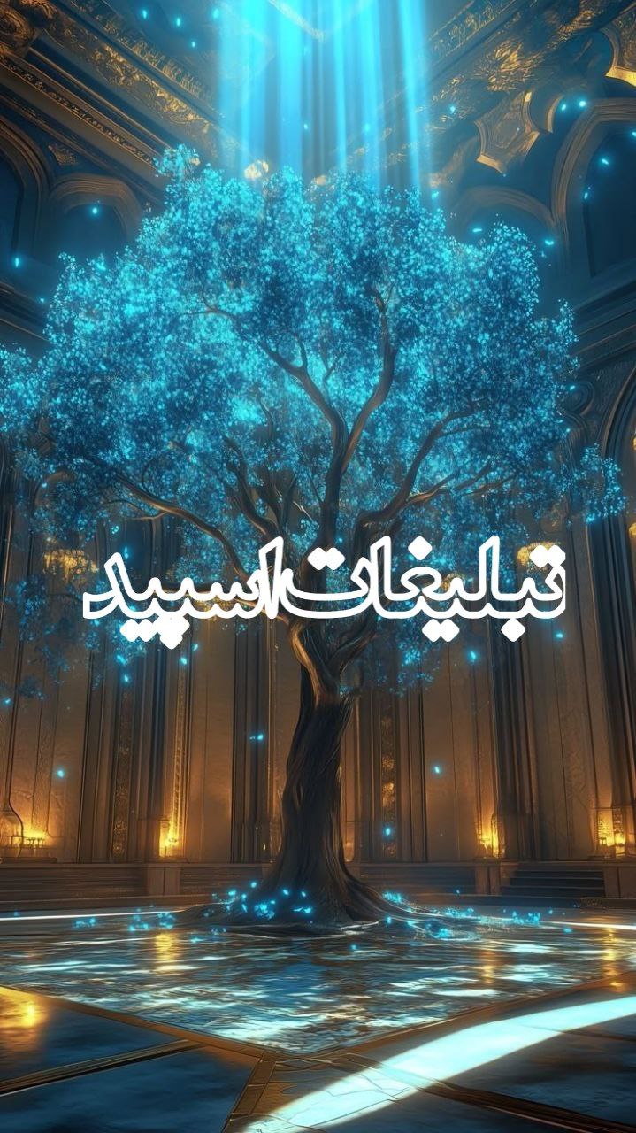 𖢟 ♾ 𝑻𝑯𝑬 𝑯𝑼𝑴𝑨𝑵🌒