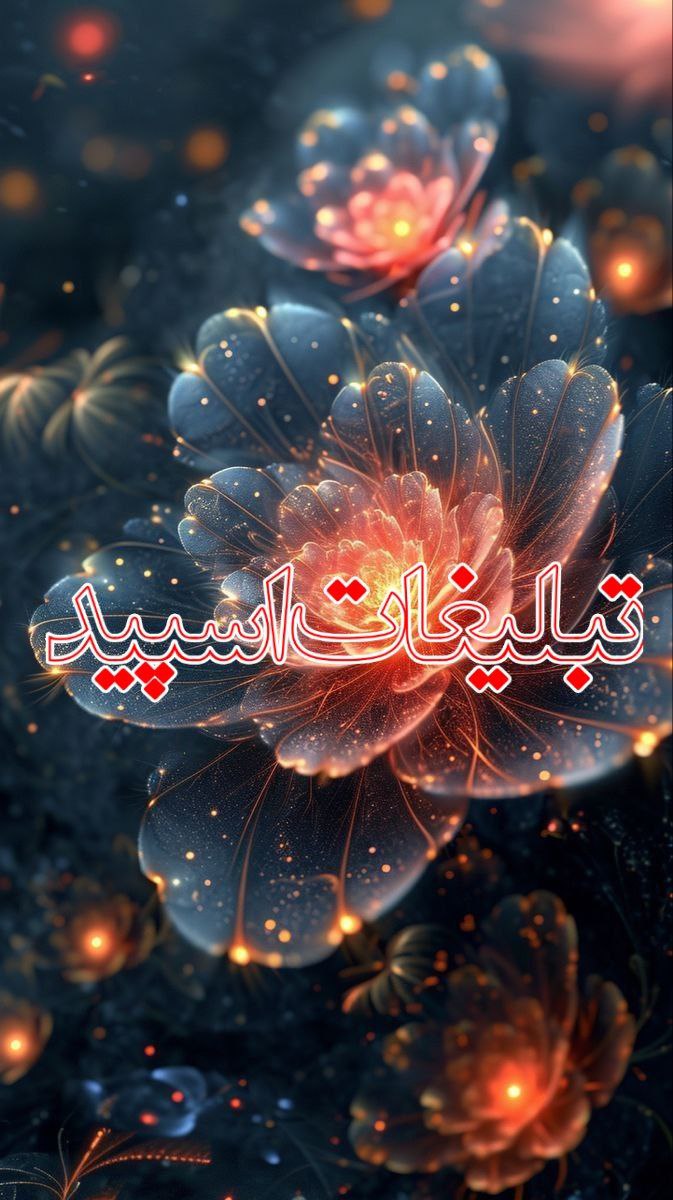 وایلد ولف|WILD WOLF (79)