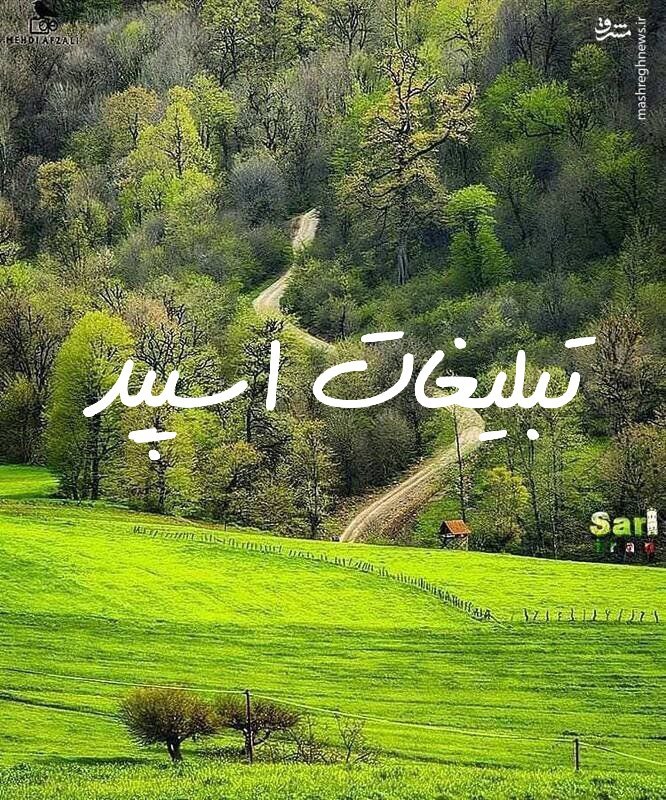 گروه چت تلگرام دوستان همیشگی