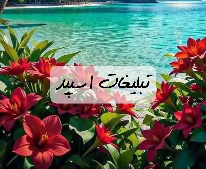 گروه تلگرام آلاچیق گپ لاکچری های کرج و تهران