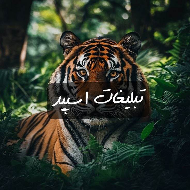 گپ تلگرام کلبه مهربانی