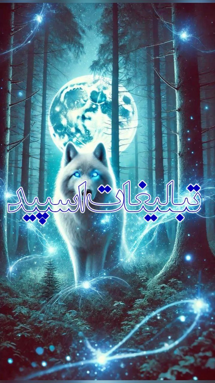 🧿💎فعالترین گپ تورک اوشاغی❤️
🇹🇷 🇦🇿𝚅𝙸𝙿🗼

ارومیه تبریز  اردبیل تهران کرج