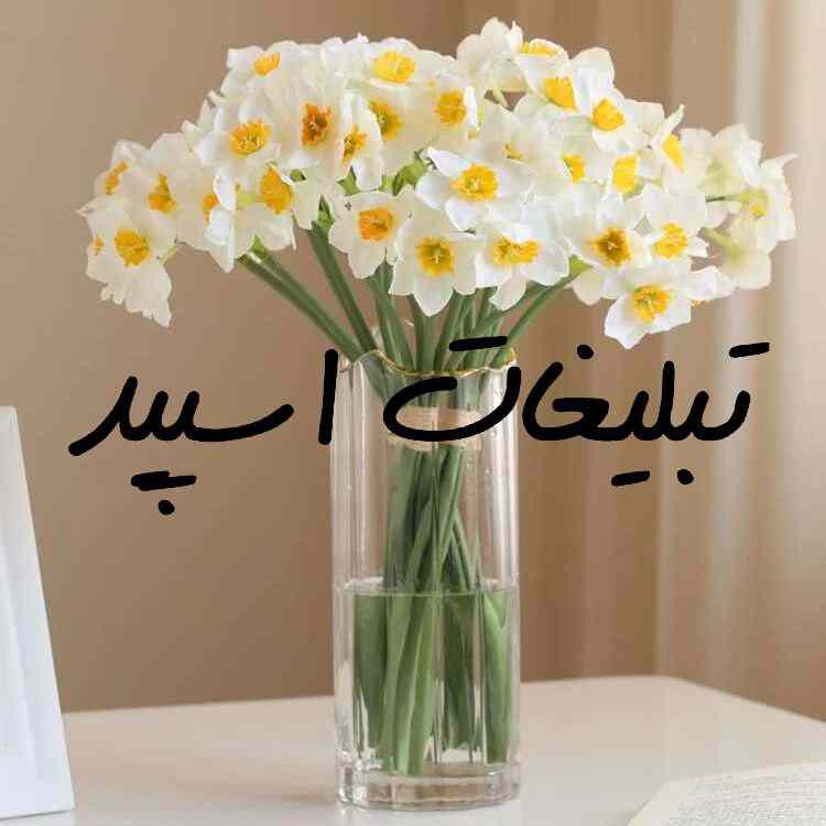 کانال ایتا کلیپ و پروفایل انگیزشی باغ بنفش